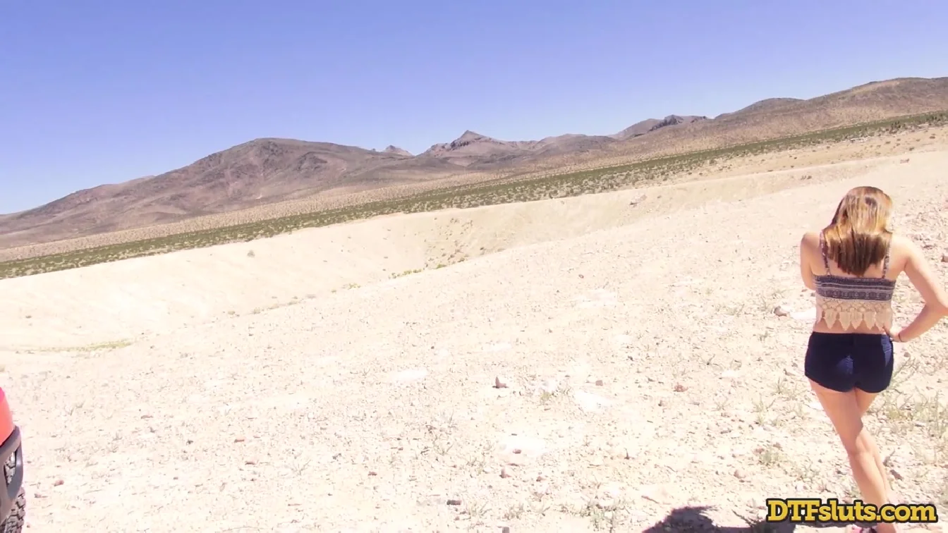 Preview of DTFSluts No Models Assigned Orgy In The Desert XXX